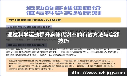 通过科学运动提升身体代谢率的有效方法与实践技巧